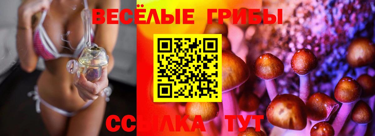 Псилоцибиновые грибы мицелий  Вход с VPN  Галлюциногенные грибы прущие грибы  Ковров 